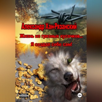 Обложка книги «Жизнь из грязных кусочков... Я создал себе сам!»