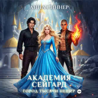 Обложка книги «Академия Сейгард. Город Тысячи Пещер»