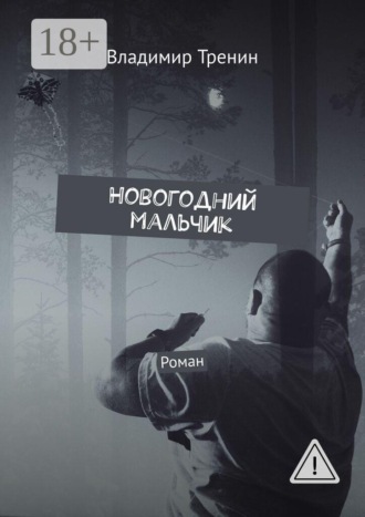 Обложка книги «Новогодний мальчик. Роман»