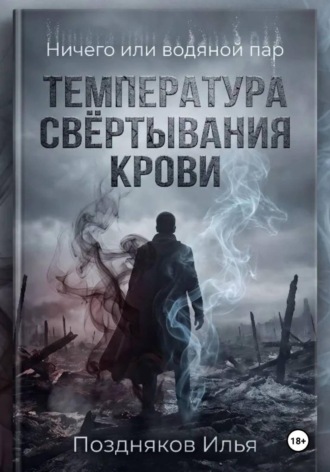 Обложка книги «Ничего или водяной пар»