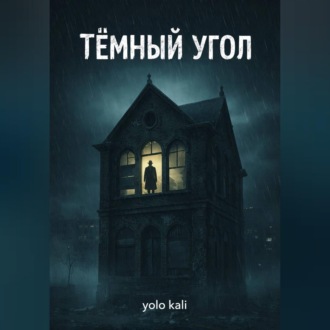 Обложка книги «Темный угол»