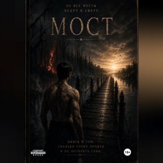 Обложка книги «Мост»