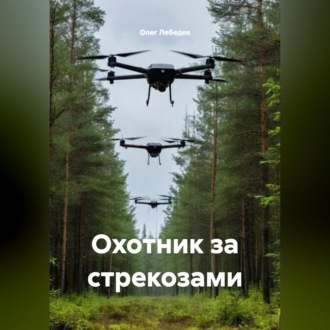 Обложка книги «ОХОТНИКИ ЗА СТРЕКОЗАМИ»