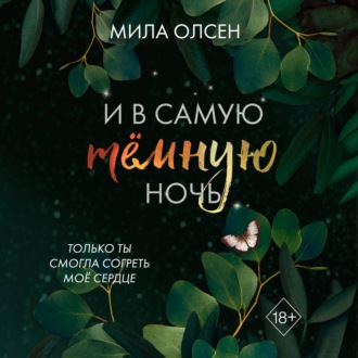 Обложка книги «Под северными небесами. И в самую темную ночь»