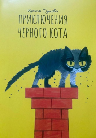 Обложка книги «Приключения Чёрного кота»