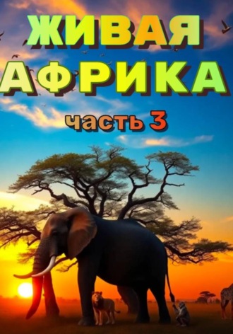 Обложка книги «"Живая Африка" Часть 3»