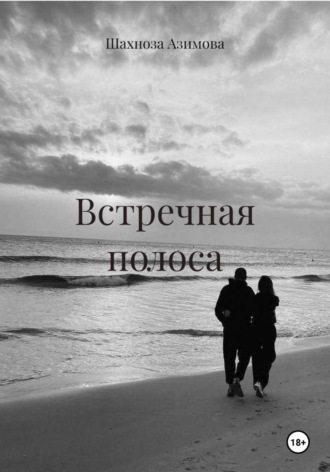 Обложка книги «Встречная полоса»