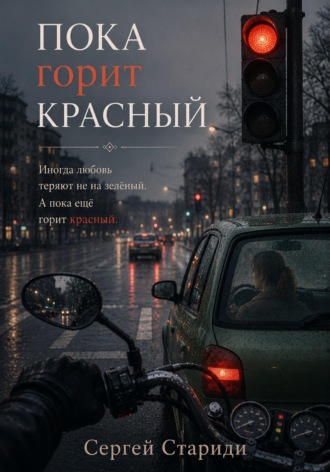 Обложка книги «Пока горит красный»