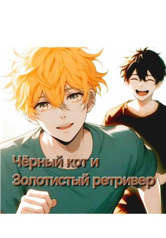 Обложка книги «Чёрный кот и золотистый ретривер»