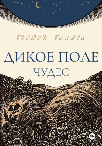 Обложка книги «Дикое поле чудес»