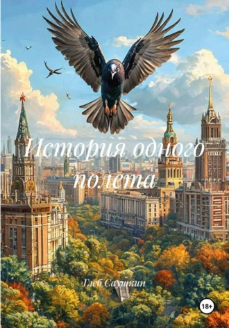 Обложка книги «История одного полета»