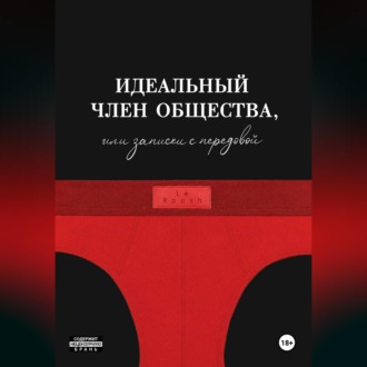Обложка книги «Идеальный член общества, или Записки с передовой»