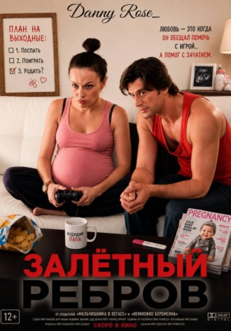 Обложка книги «Залётный Ребров»