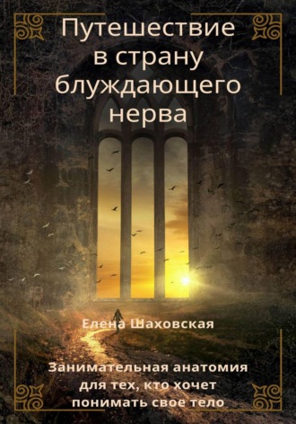 Обложка книги «Путешествие в страну блуждающего нерва»