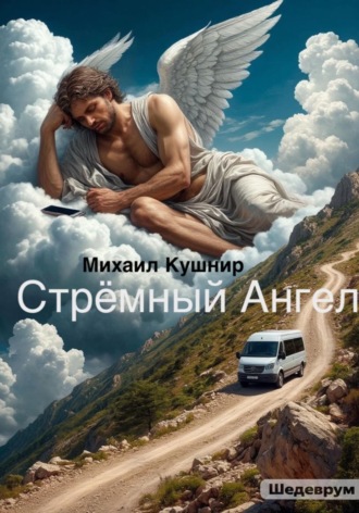 Обложка книги «Стрёмный Ангел»