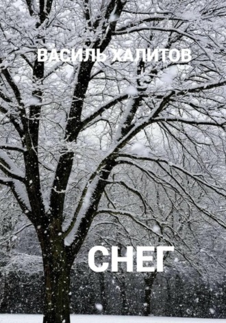 Обложка книги «Снег»