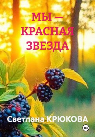 Обложка книги «МЫ — КРАСНАЯ ЗВЕЗДА»