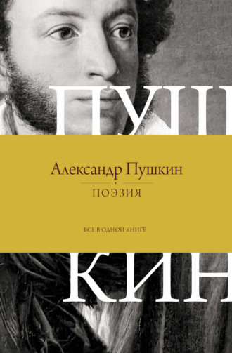 Обложка книги «Поэзия. Все в одной книге»