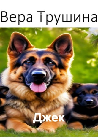 Обложка книги «Джек»