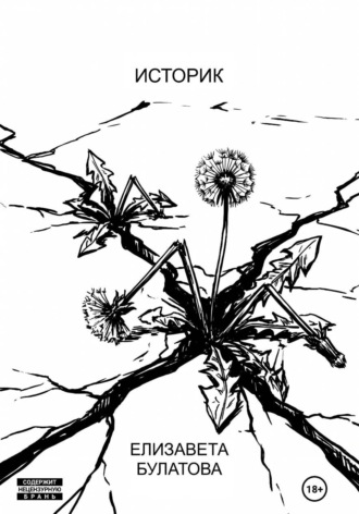 Обложка книги «Историк»