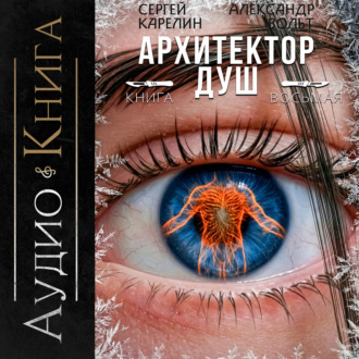 Обложка книги «Архитектор Душ VIII»