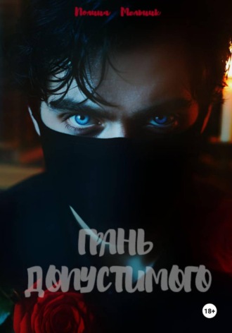 Обложка книги «Грань допустимого»