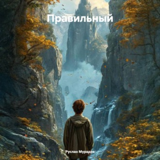 Обложка книги «Правильный»