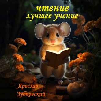 Обложка книги «Чтение лучшее учение»