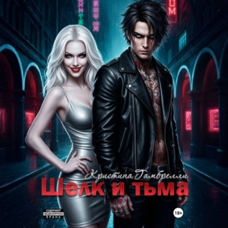 Обложка книги «Шелк и тьма»