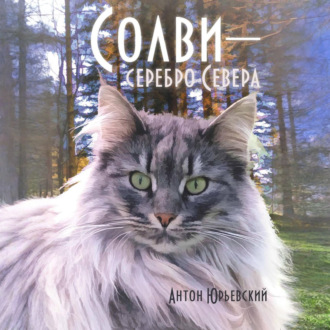Обложка книги «Солви – серебро Севера»