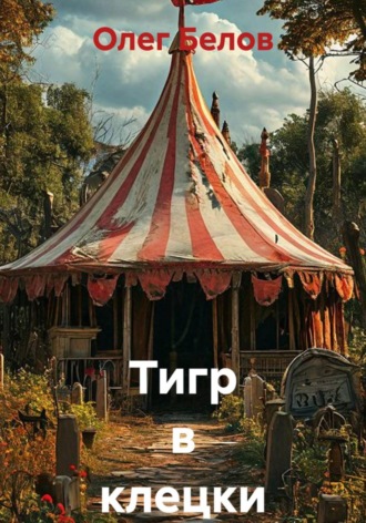 Обложка книги «Тигр в клецки»