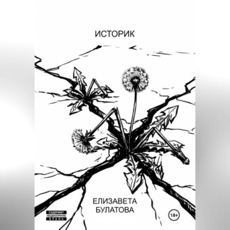 Обложка книги «Историк»