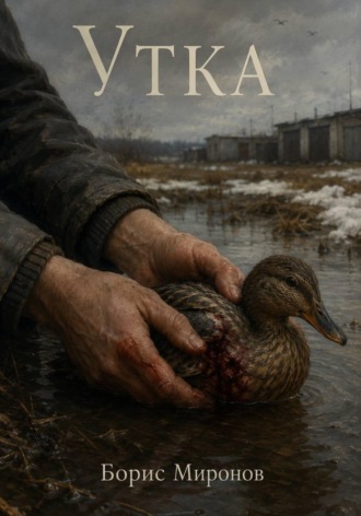 Обложка книги «Утка»