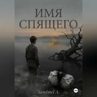 Обложка книги «Имя спящего»
