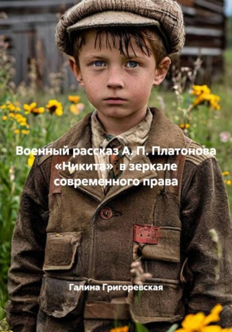 Обложка книги «Военный рассказ А. П. Платонова «Никита» в зеркале современного права»