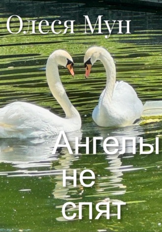 Обложка книги «Ангелы не спят»