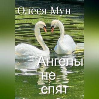 Обложка книги «Ангелы не спят»