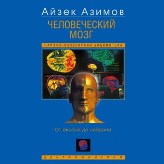 Обложка книги «Человеческий мозг. От аксона до нейрона»