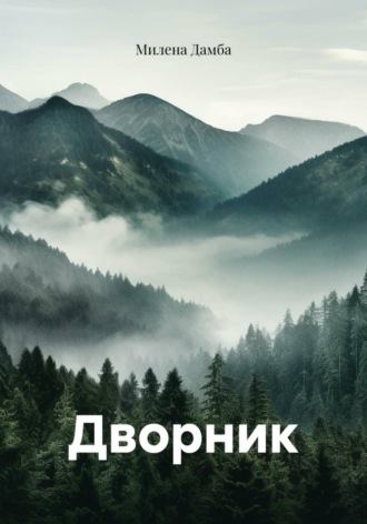 Обложка книги «Дворник»