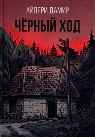 Обложка книги «Чёрный ход»