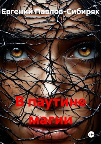 Обложка книги «В паутине магии»
