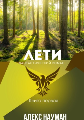 Обложка книги «Лети. Книга первая»