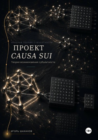Обложка книги «ПРОЕКТ CAUSA SUI»