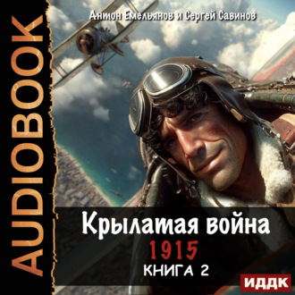 Крылатая война. 1915. Книга 2