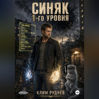 Обложка книги «Синяк 1-го уровня»