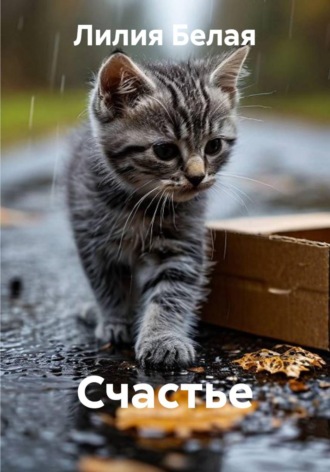 Обложка книги «Счастье»
