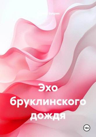 Обложка книги «Эхо бруклинского дождя»