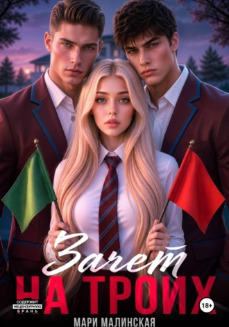 Обложка книги «Зачёт на троих»
