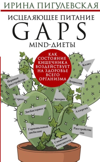 Обложка книги «Исцеляющее питание. GAPS-, MIND-диеты. Как состояние кишечника воздействует на здоровье всего организма»