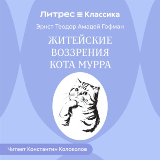 Обложка книги «Житейские воззрения кота Мурра»